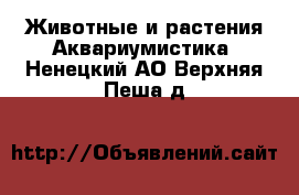 Животные и растения Аквариумистика. Ненецкий АО,Верхняя Пеша д.